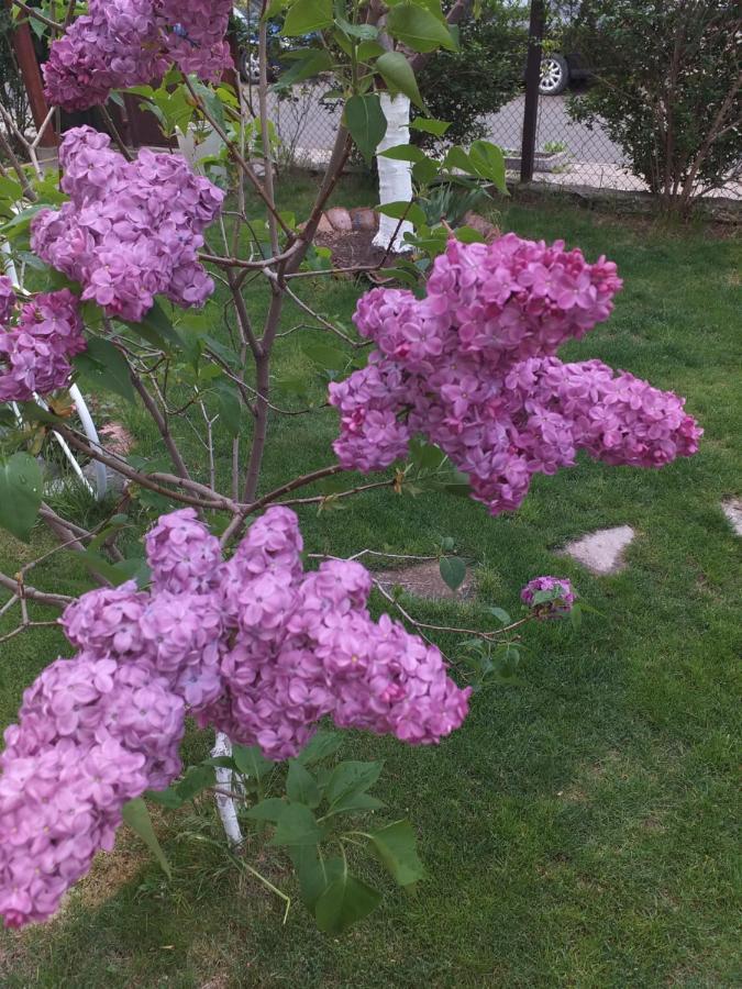 Kesta Za Gosti Gradina Villa Aheloj Kültér fotó